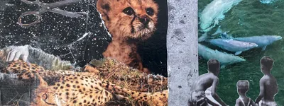 Artwork for For Clark